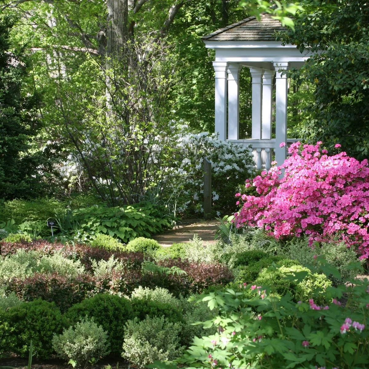 dappled sunlight through trees onto garden beds