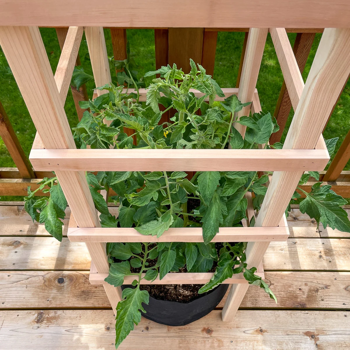 10 Reasons Why You'll Love Gardening with Grow Bags