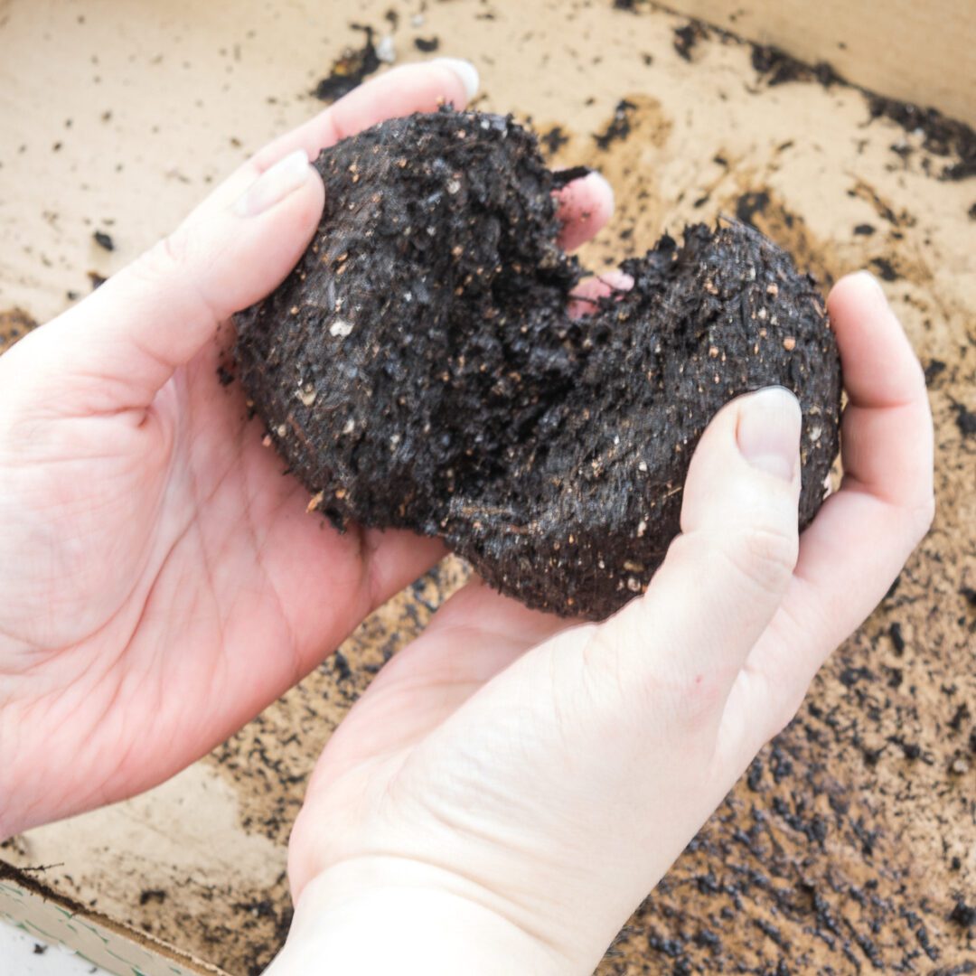 How to Make a Hanging Moss Ball Planter (Kokedama)