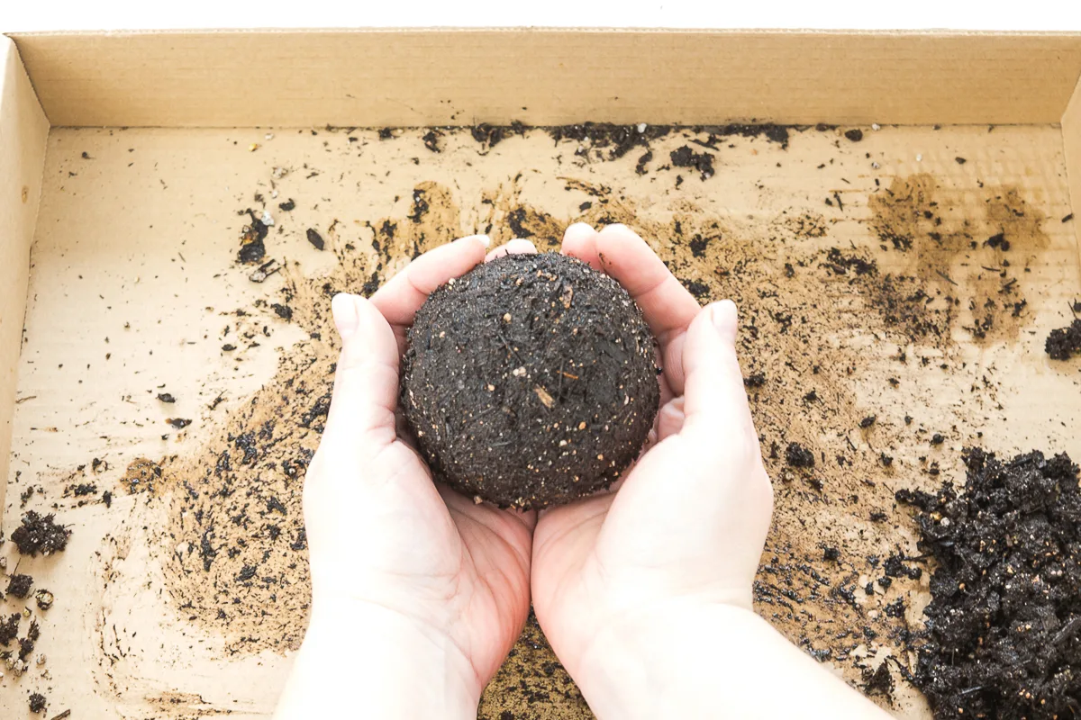 soil ball for kokedama
