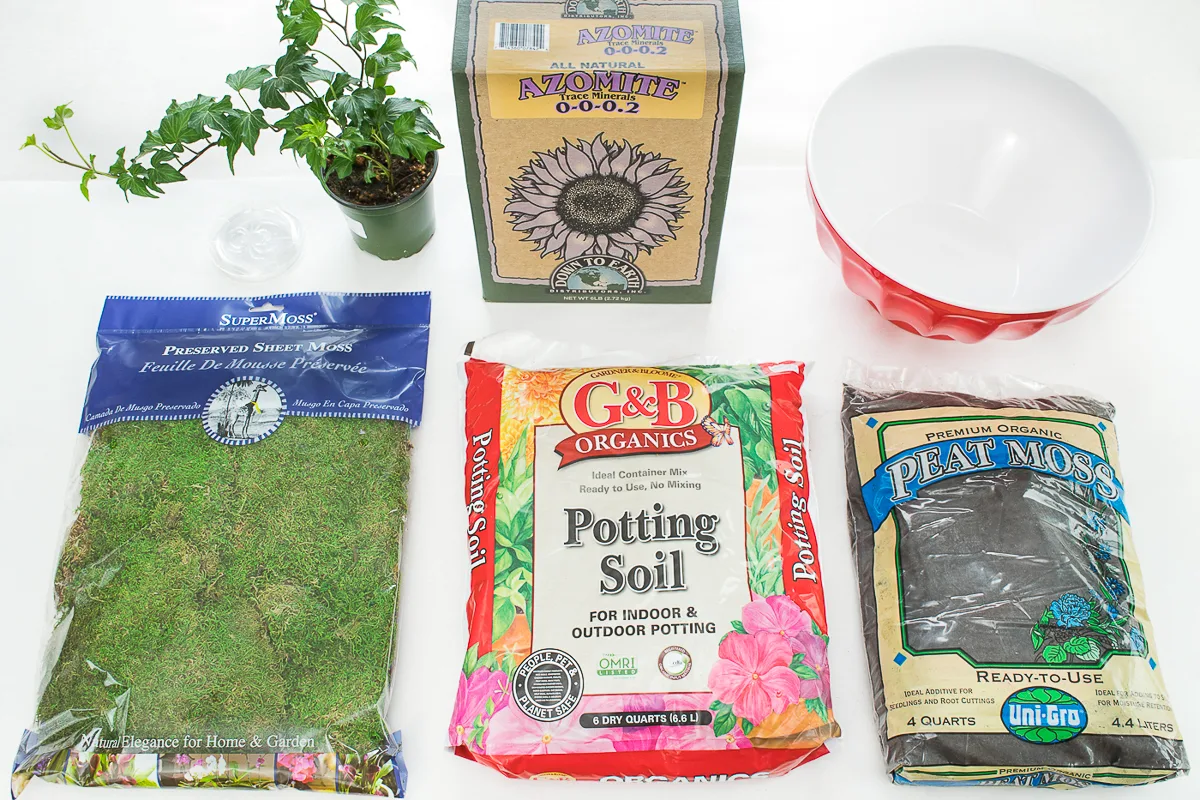 supplies for making a hanging moss ball planter
