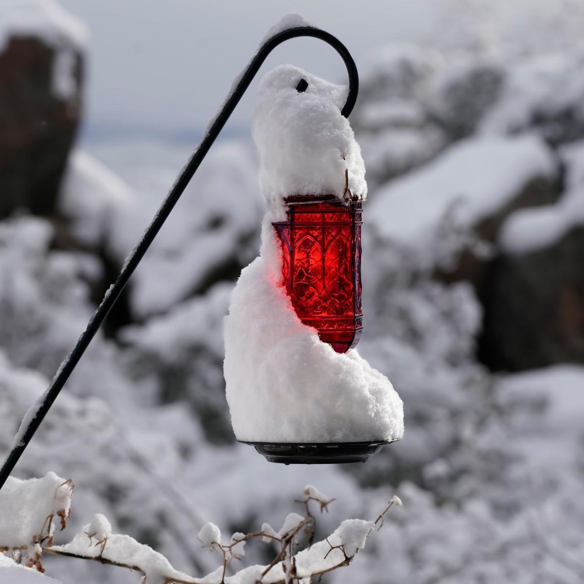 hummingbird feeder covered in snow