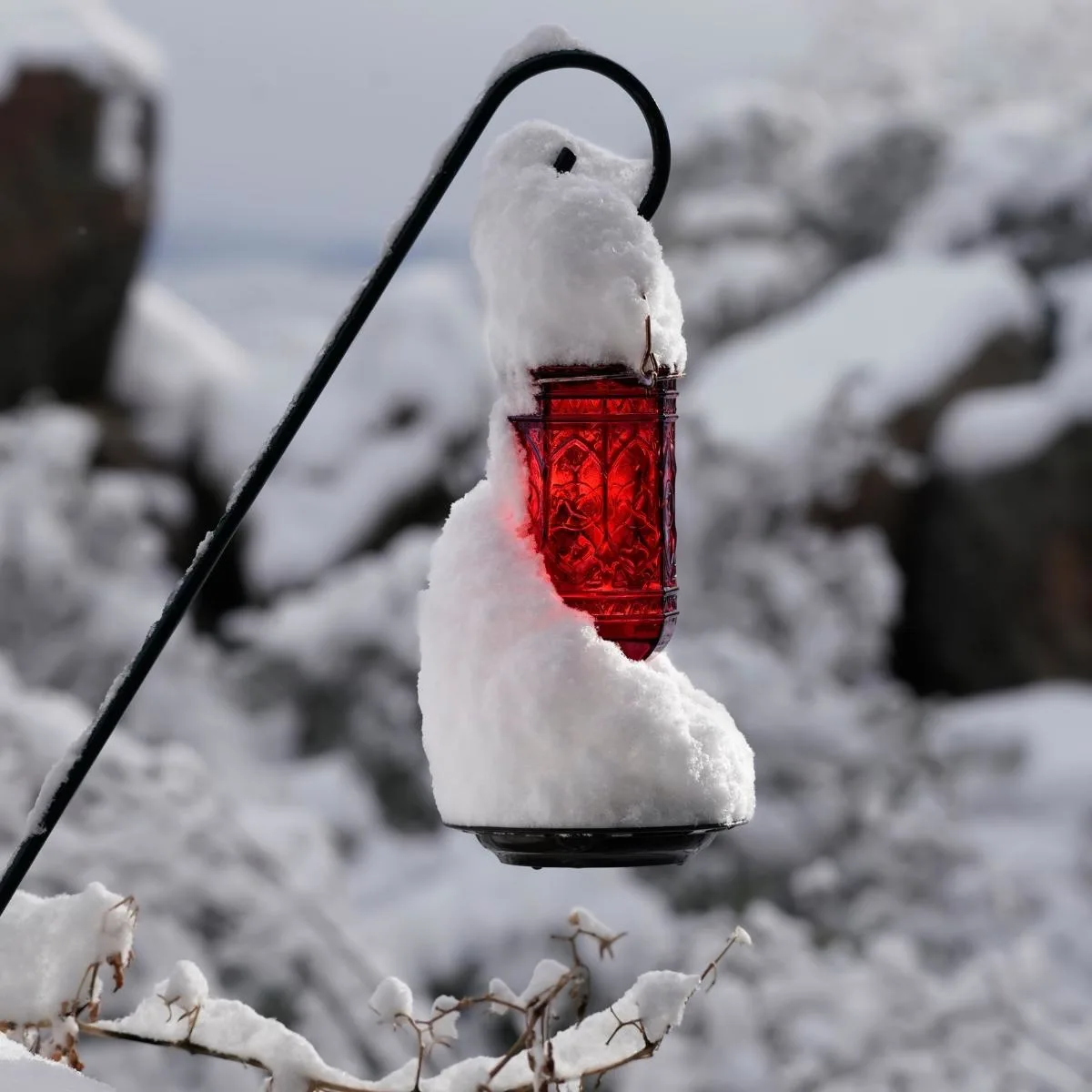 hummingbird feeder covered in snow