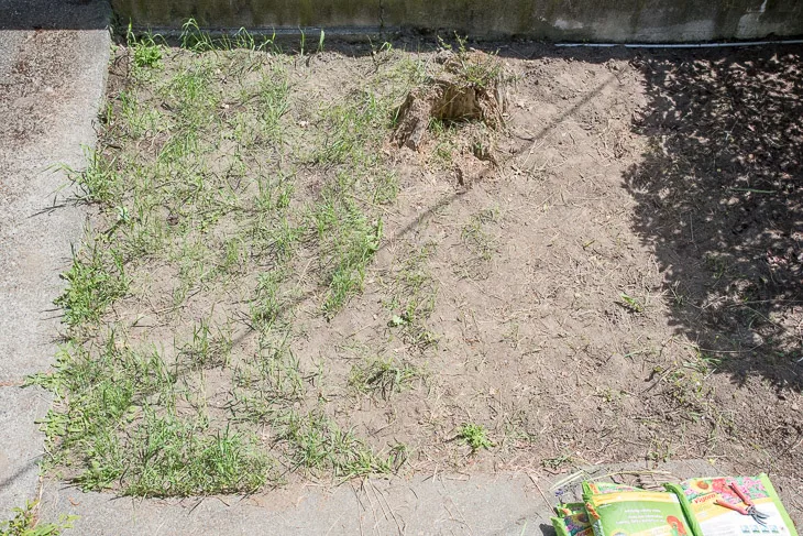 weeds growing back after hand weeding