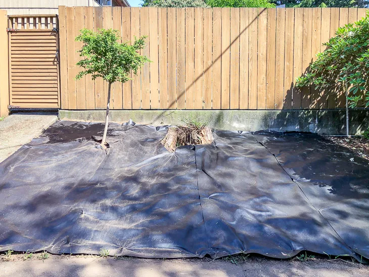 cleared garden bed with landscape fabric