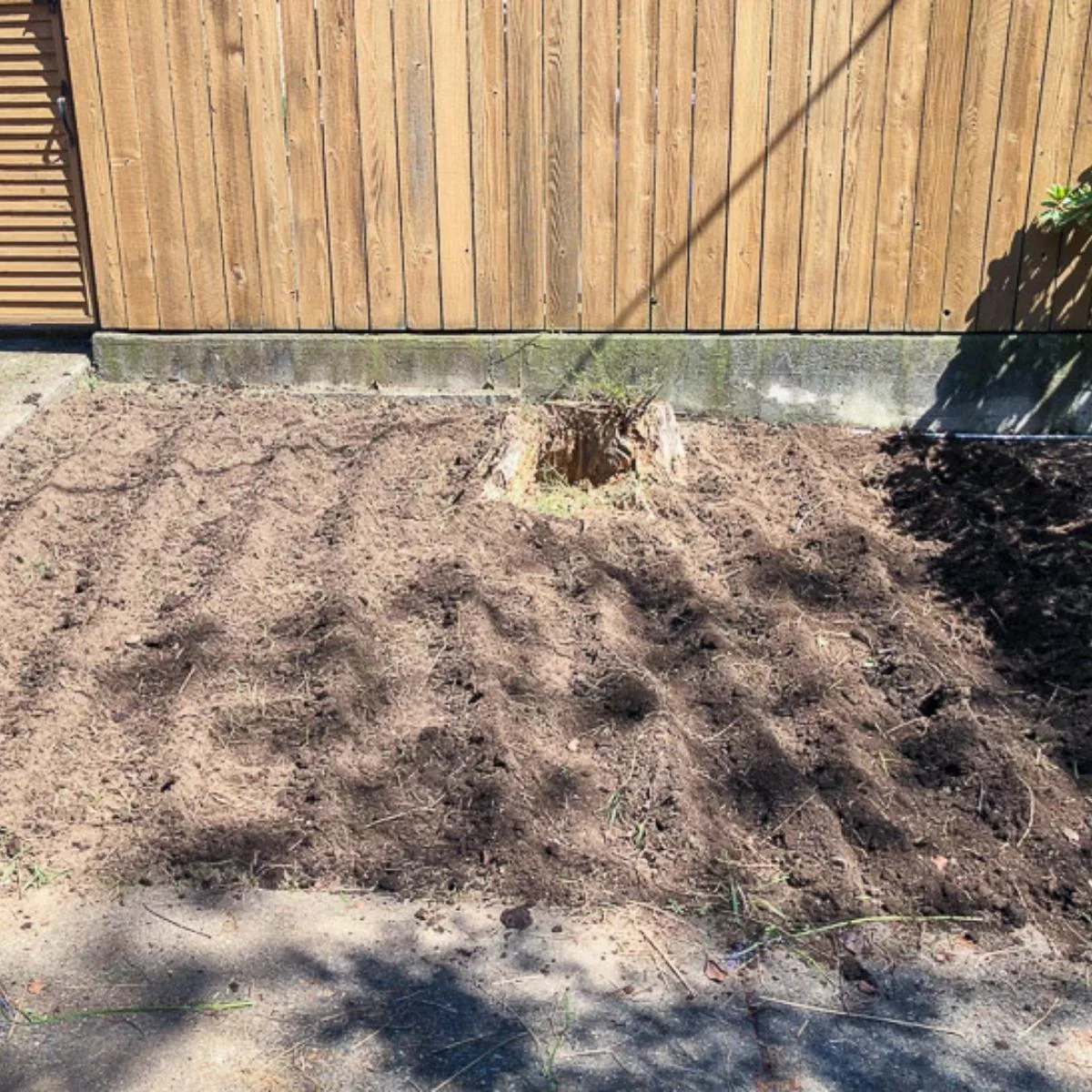 tilled garden bed after removing weeds