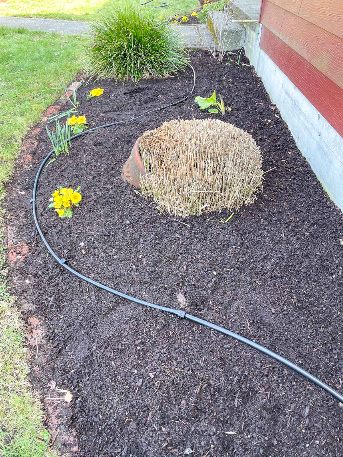 ¾" drip irrigation supply line throughout garden bed