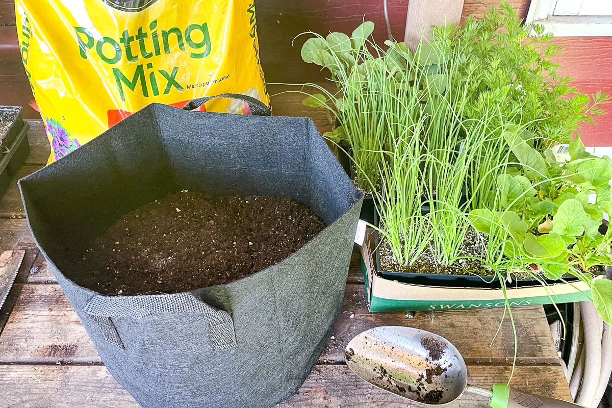 potting soil in grow bag
