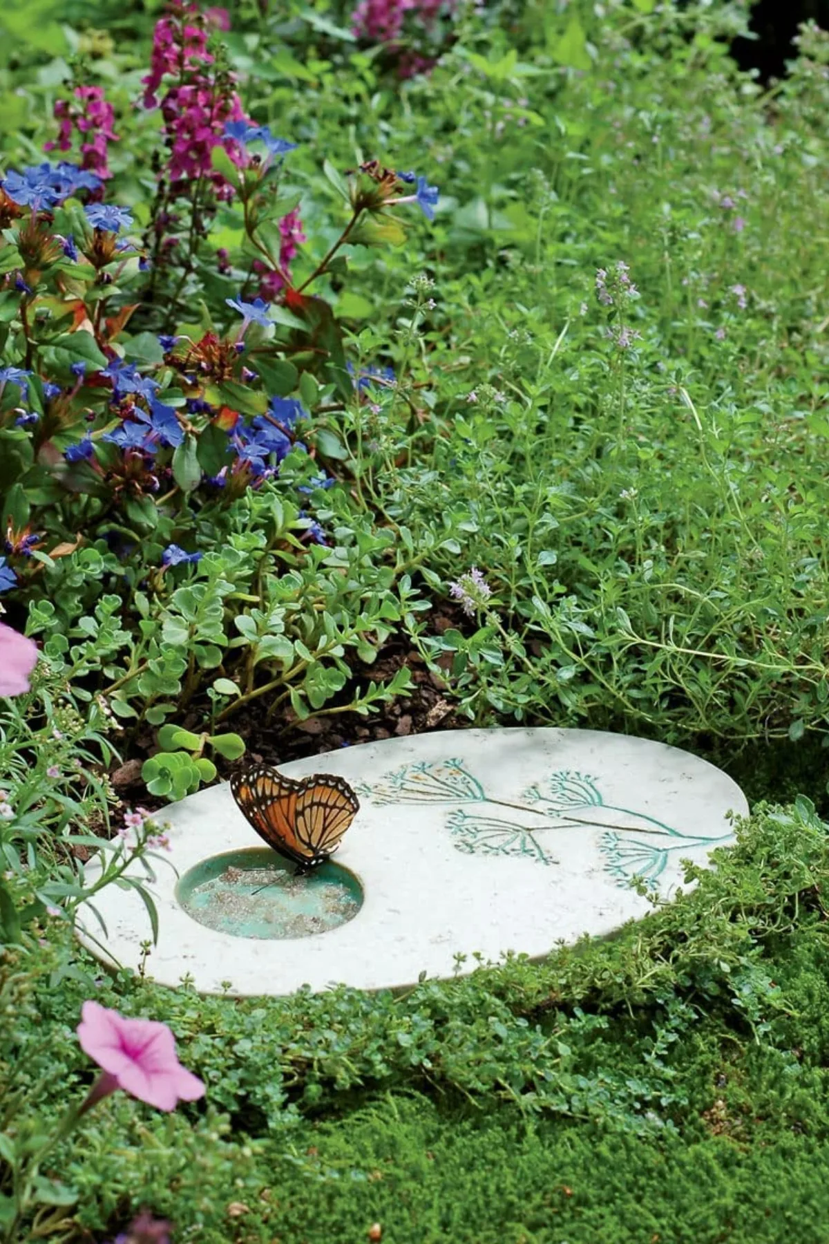 stone butterfly puddler in garden