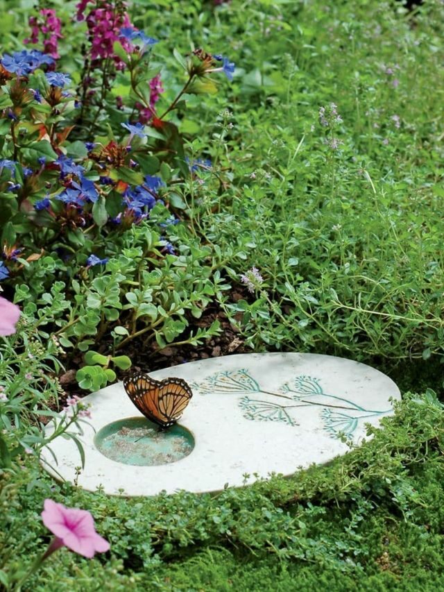 TIPS TO ATTRACT BUTTERFLIES TO YOUR GARDEN