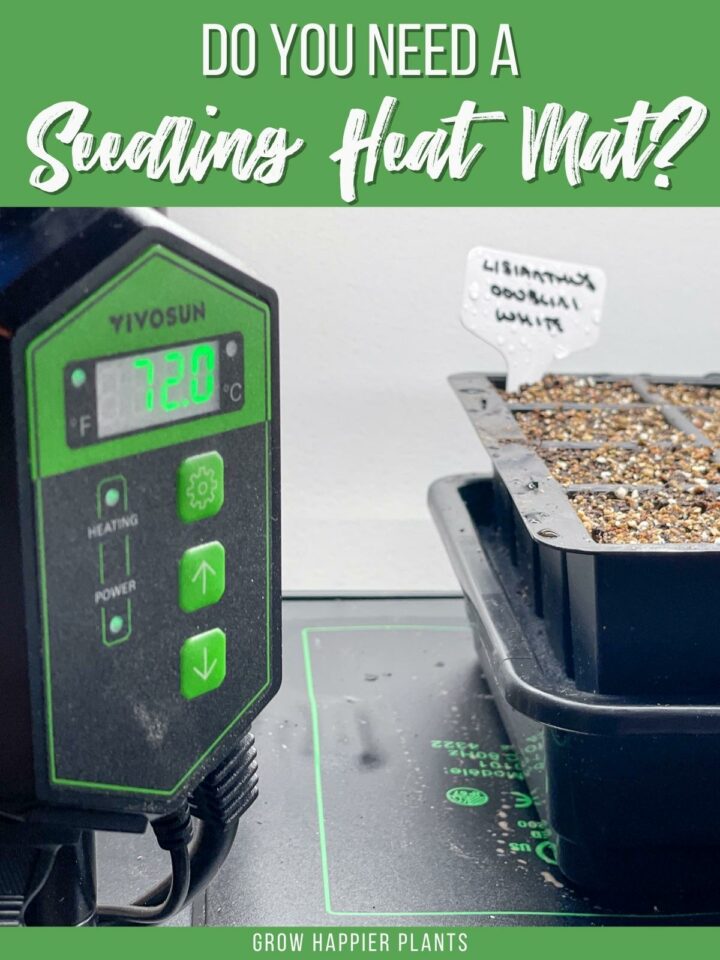 Do I Need a Heat Mat to Start Seeds?