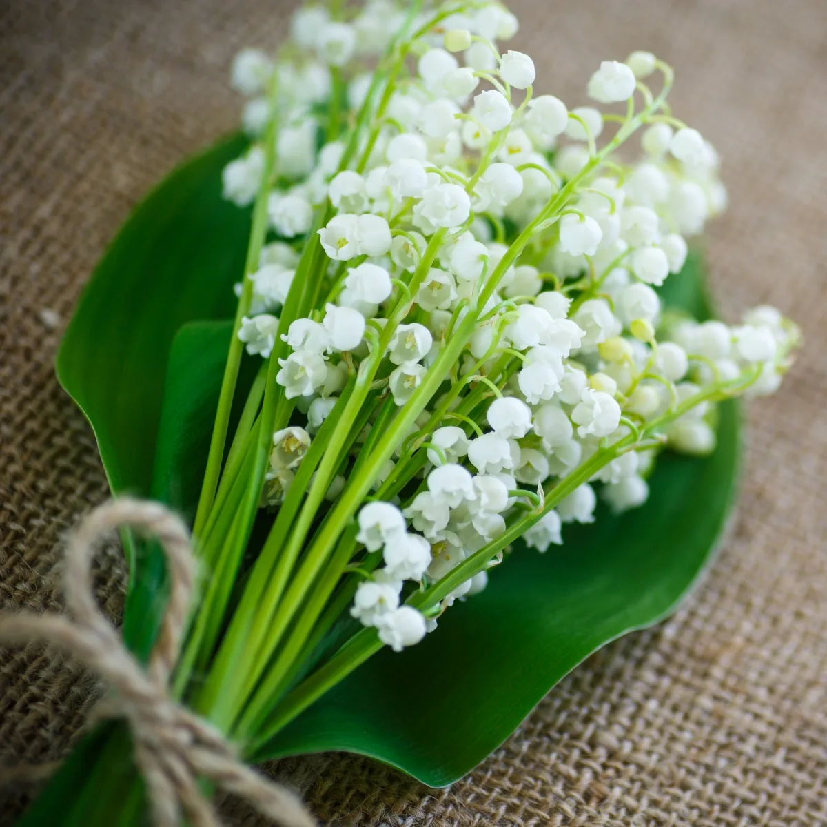 lily of the valley bouquet