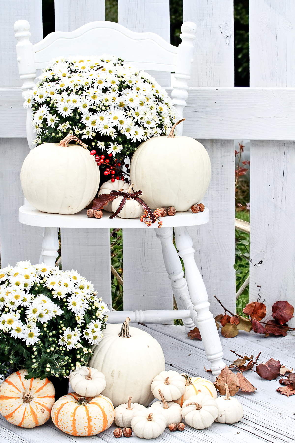 white mums with white pumpkins on white chair