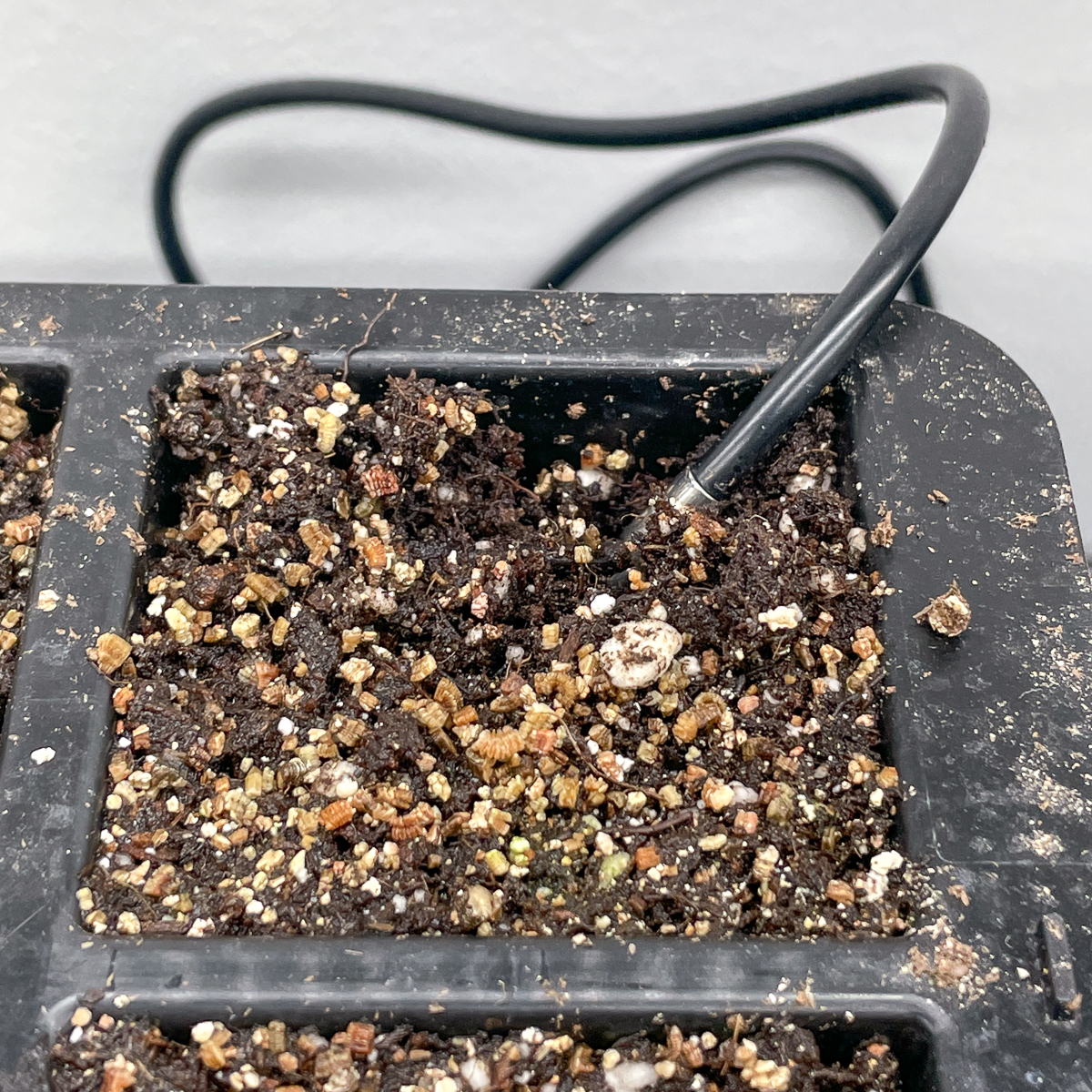 heat mat temperature probe in soil of seed tray