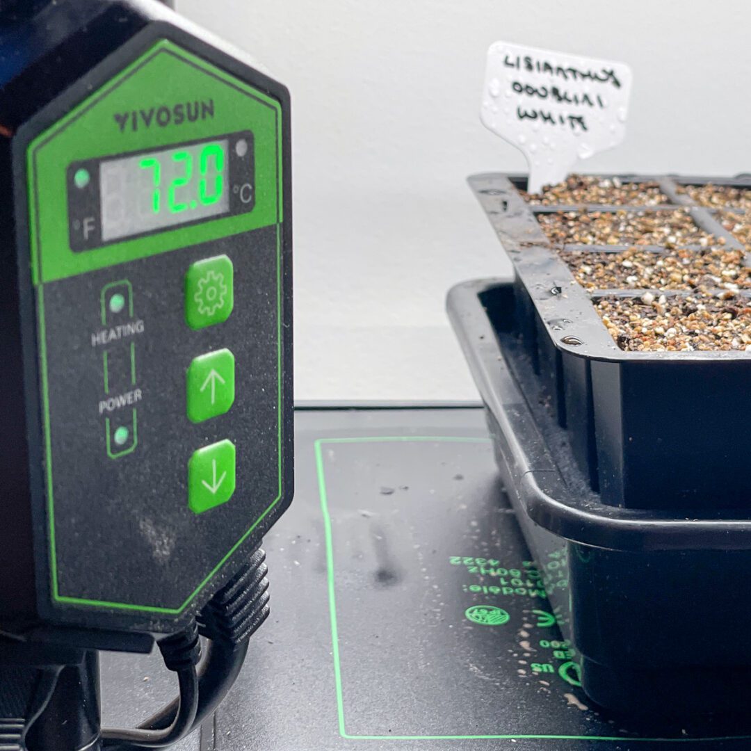 Do I Need a Heat Mat to Start Seeds?