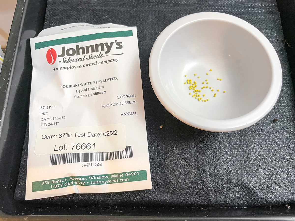 lisianthus seeds in a small bowl with seed packet next to it