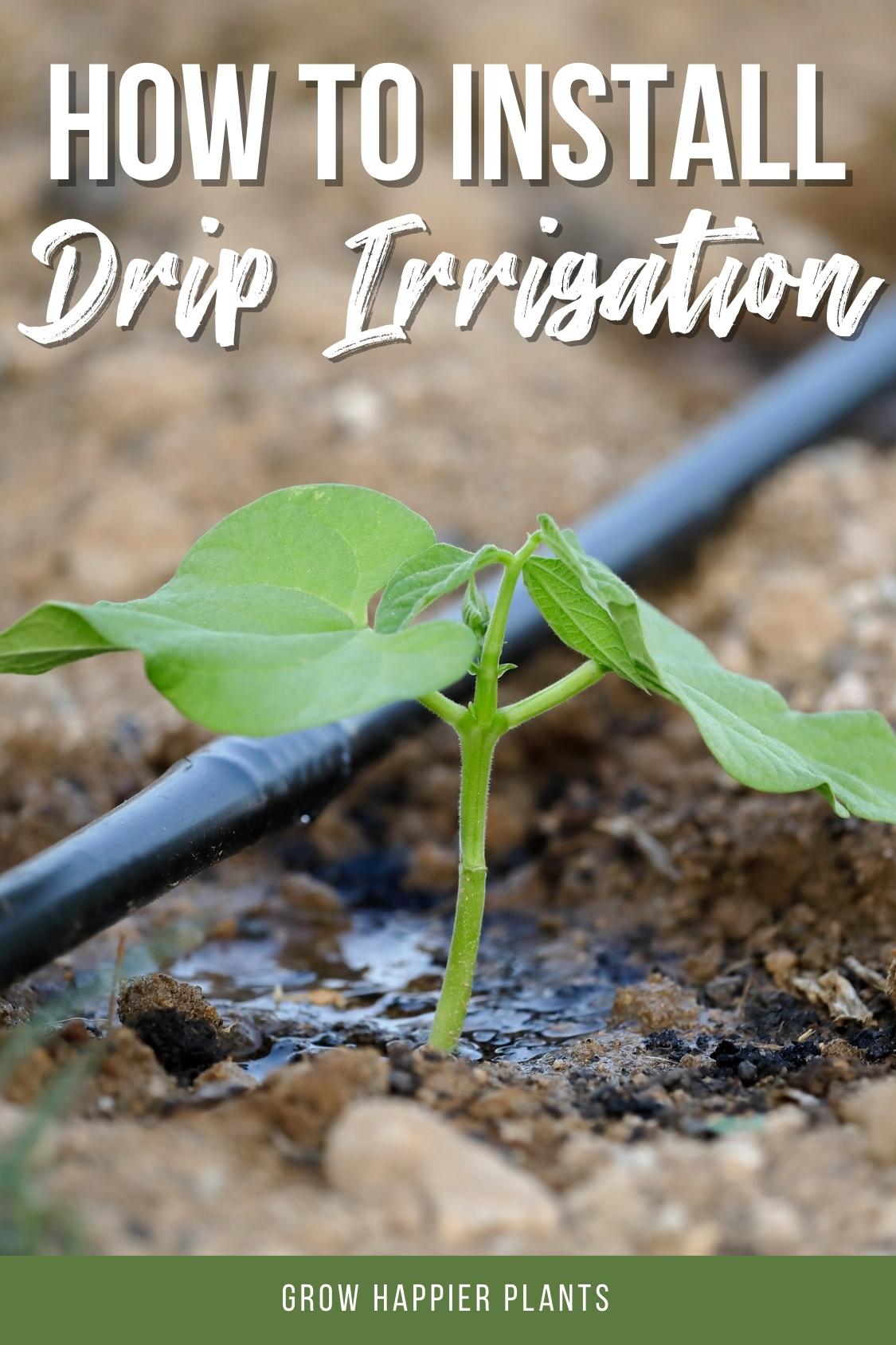 how to install drip irrigation