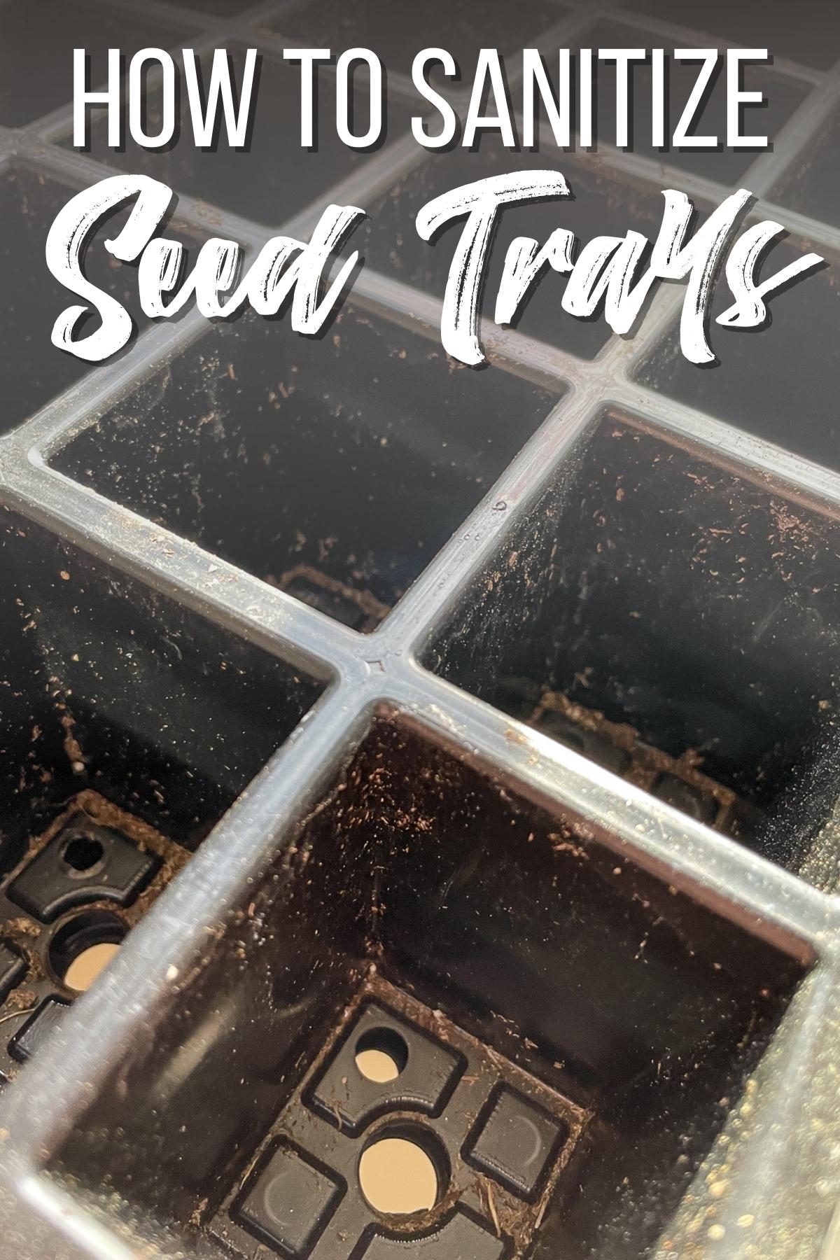 how to sanitize seed trays