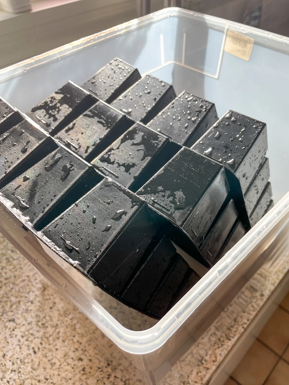 seed trays drying in plastic bin