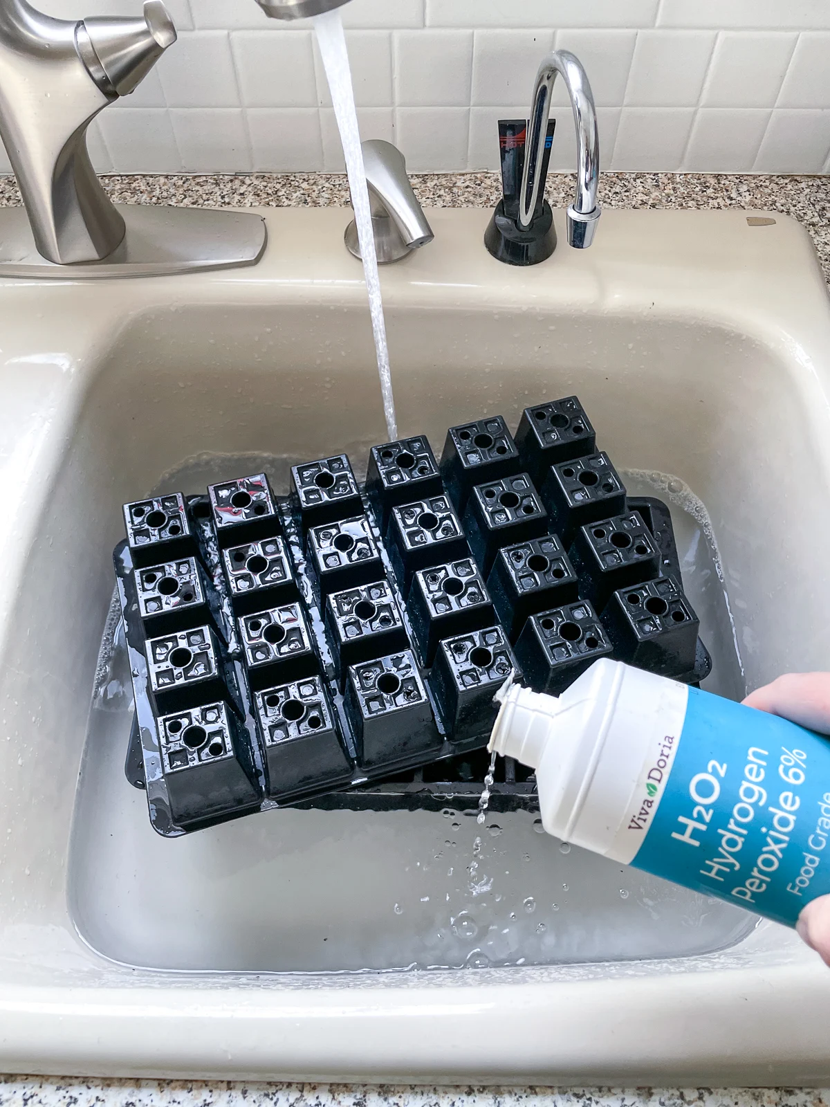 pouring food grade hydrogen peroxide into kitchen sink to sanitize seed trays