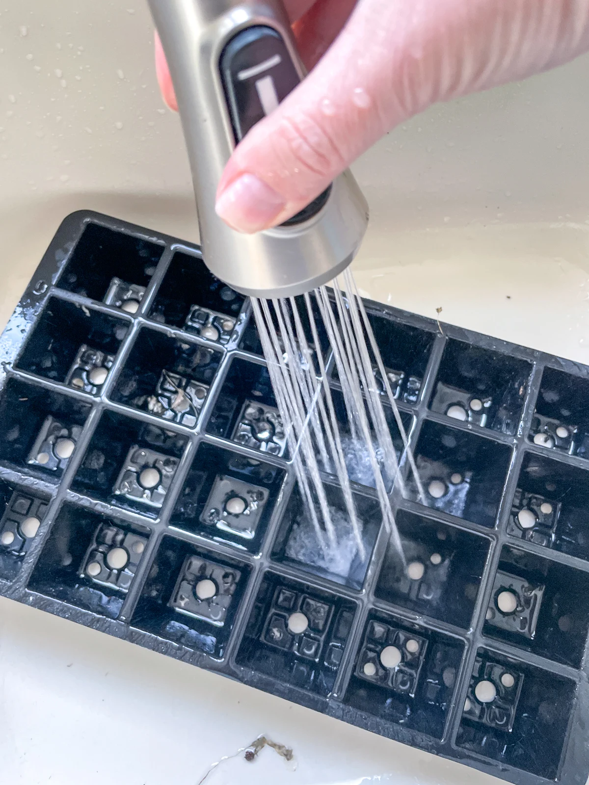 spraying dirty seed tray with a kitchen faucet sprayer in the sink