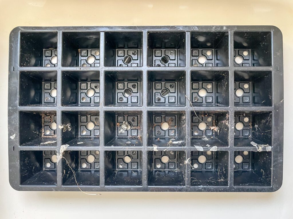 How to Clean and Sanitize Seed Trays