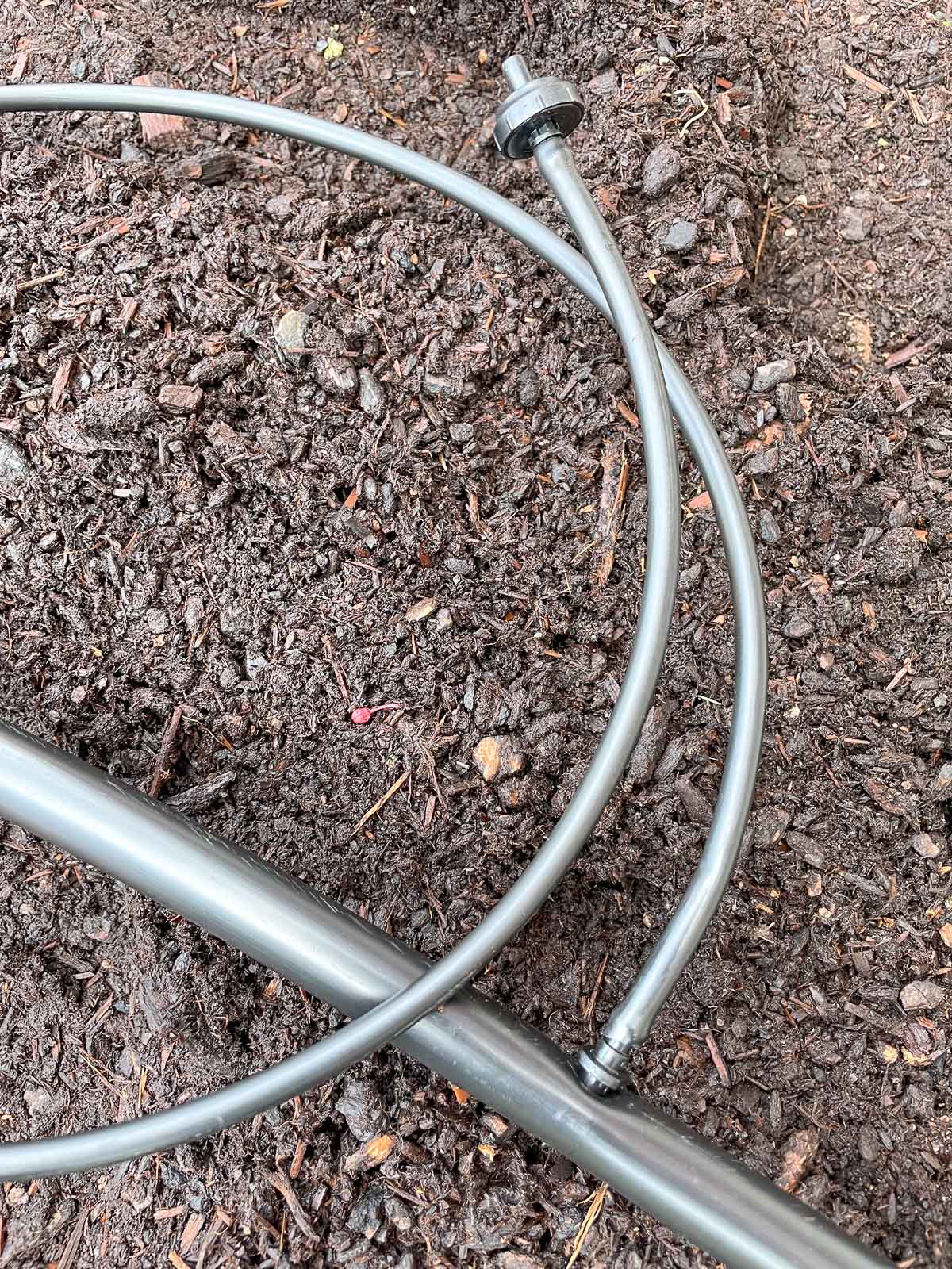 emitter at end of ¼" drip irrigation tubing