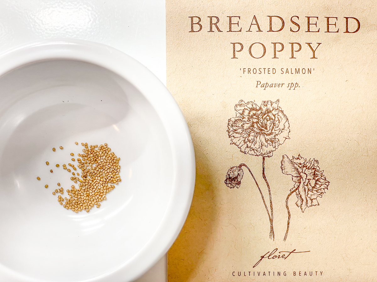 frosted salmon breadseed poppy seeds and seed packet