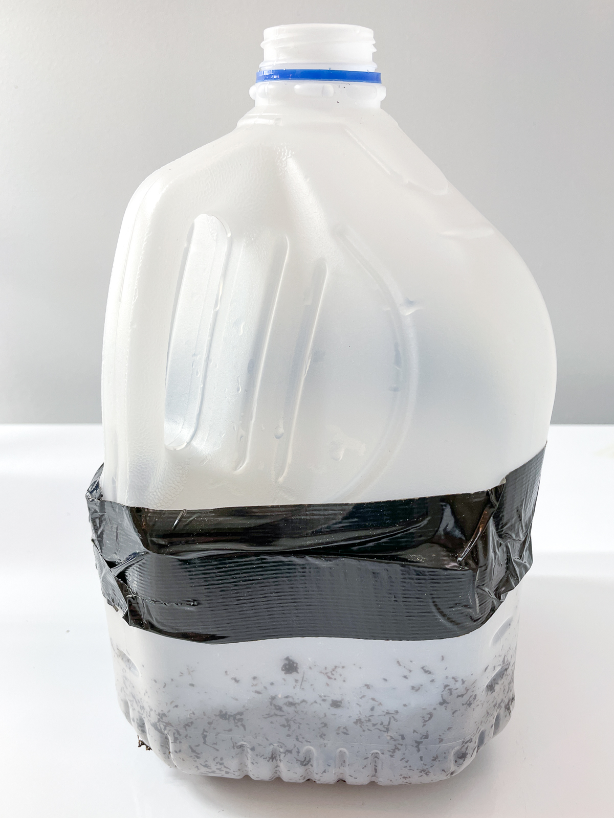 milk jug with seeds sown inside and closed up with black duct tape
