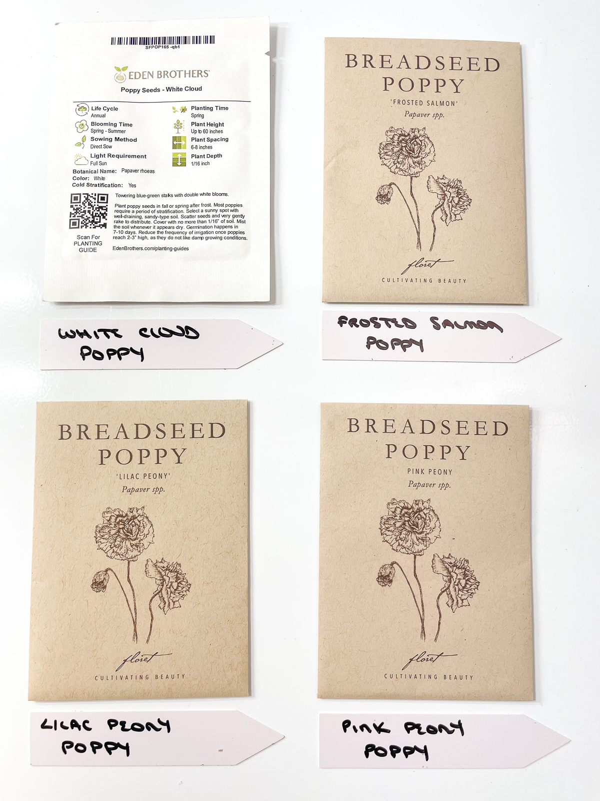four different types of poppy seeds with labels