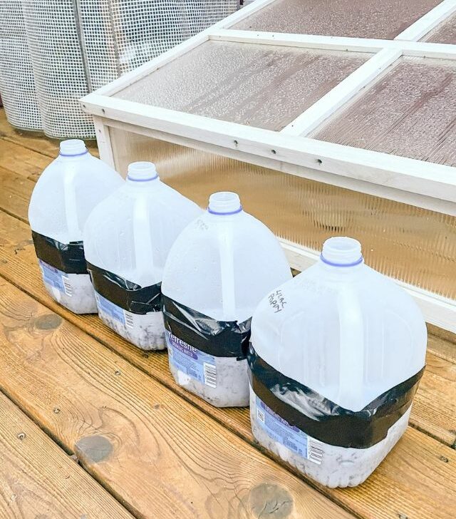 four milk jugs sitting on the deck