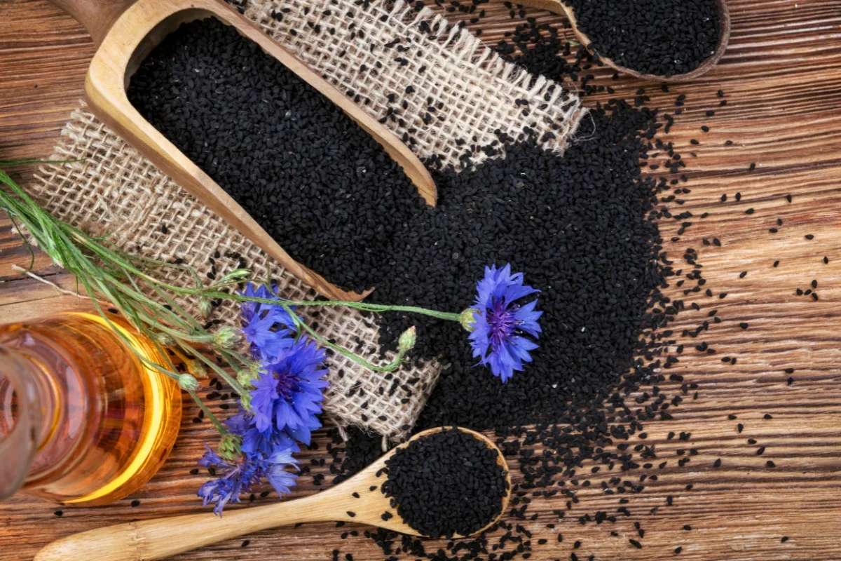 nigella seeds and flowers