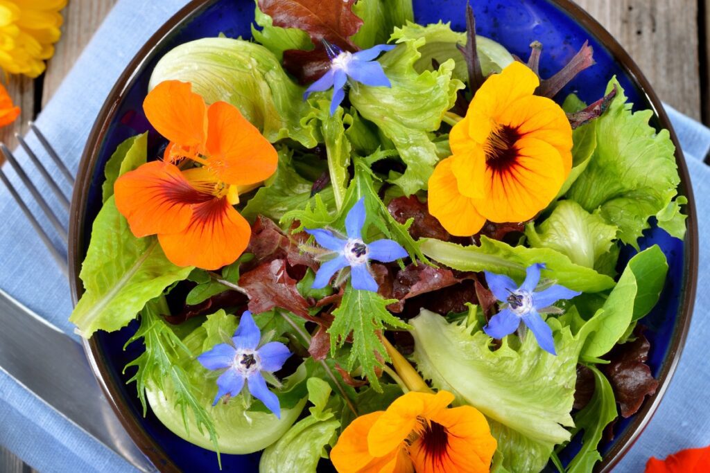 How to Grow Nasturtium from Seed - growhappierplants.com