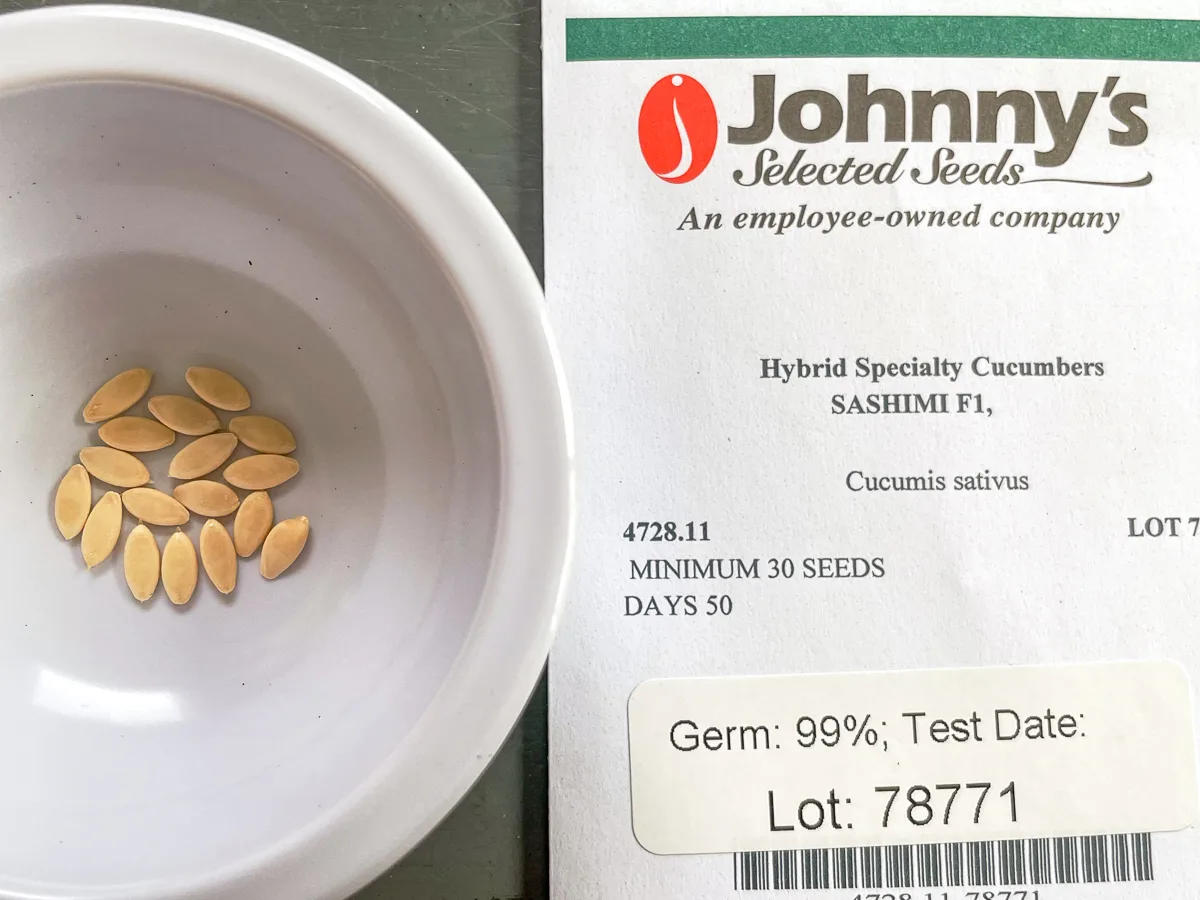 Sashimi cucumber seeds in bowl with seed packet