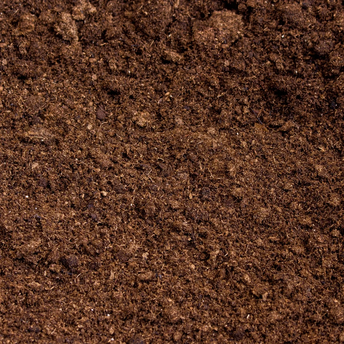 peat moss