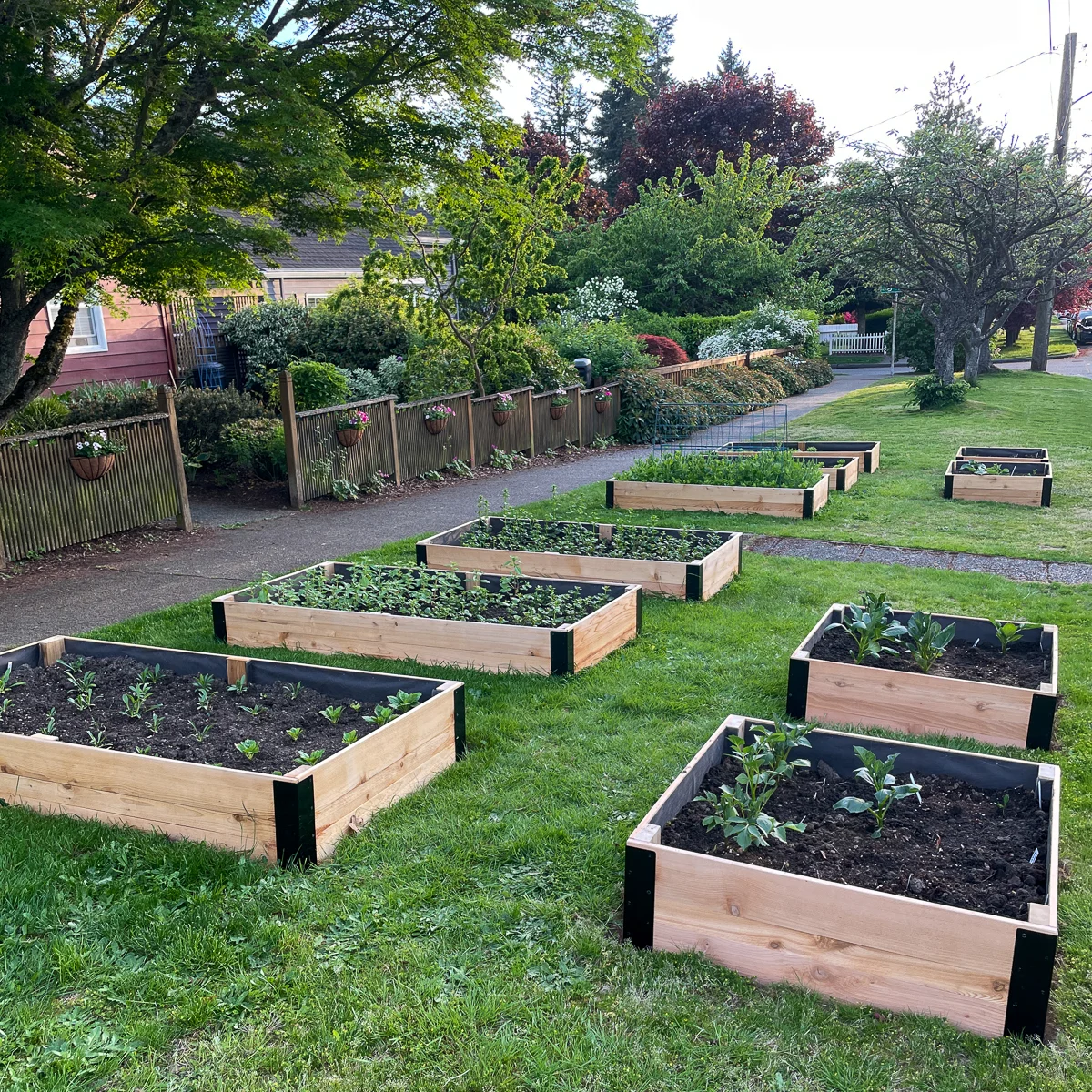 raised beds along sidewalk