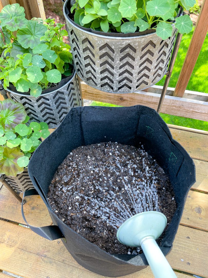 What is well draining potting soil?