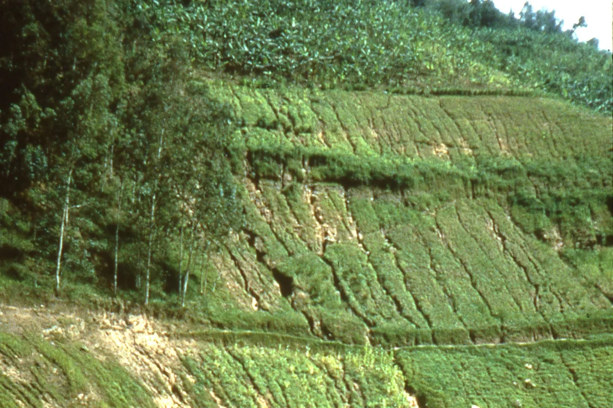 erosion on slope