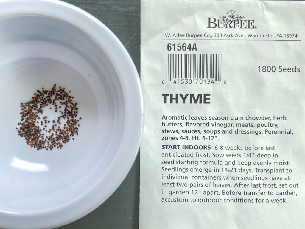 Tips for Growing Thyme from Seed