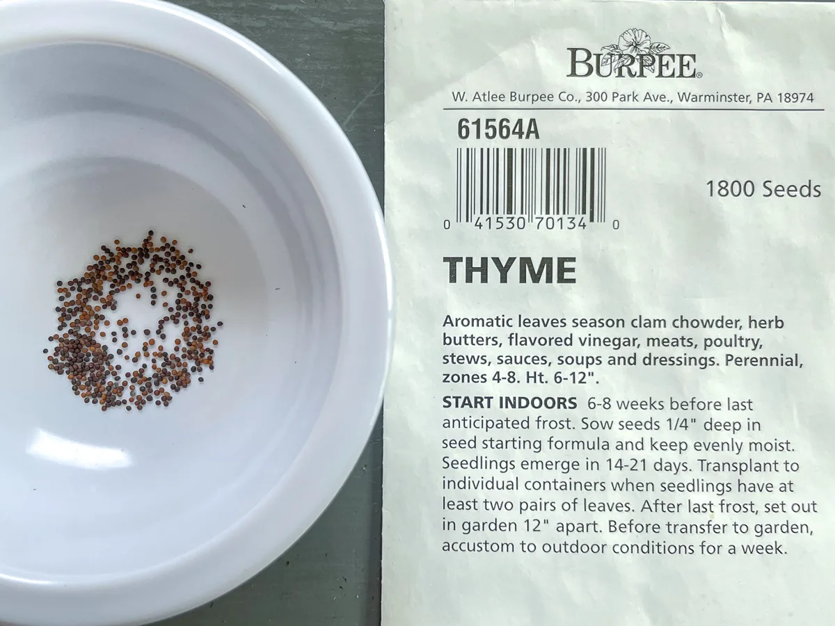 thyme seeds in a white bowl next to seed packet