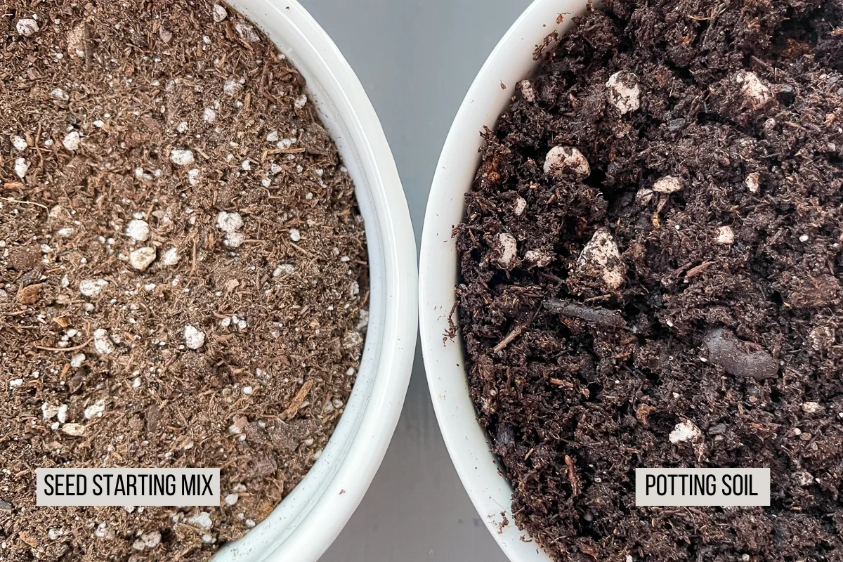 seed starting mix vs potting soil side by side comparison