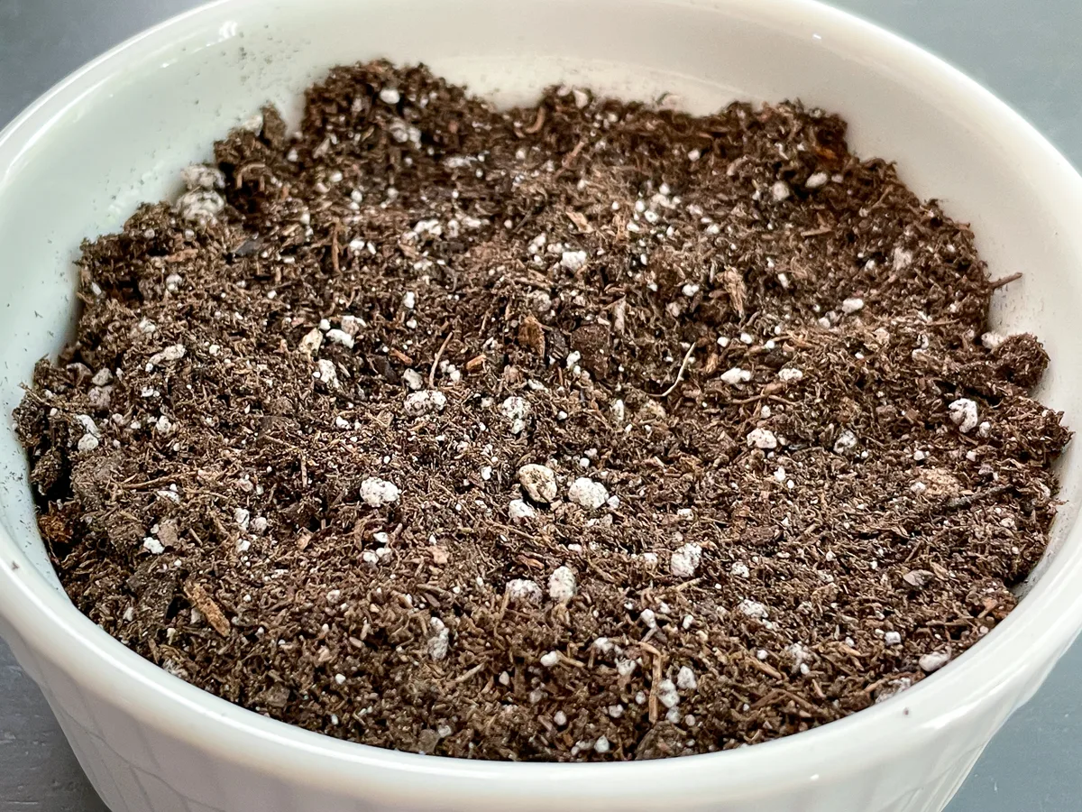 seed starting mix in white bowl