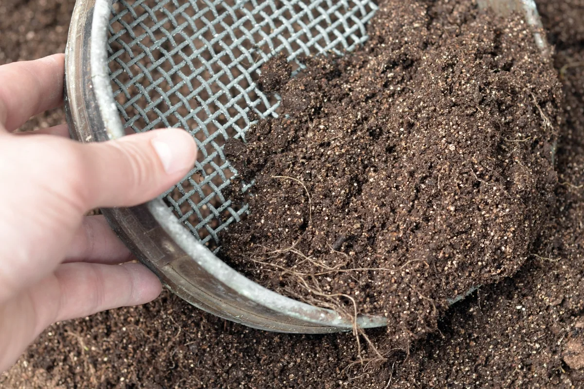 sifting potting soil to remove larger pieces for starting seeds