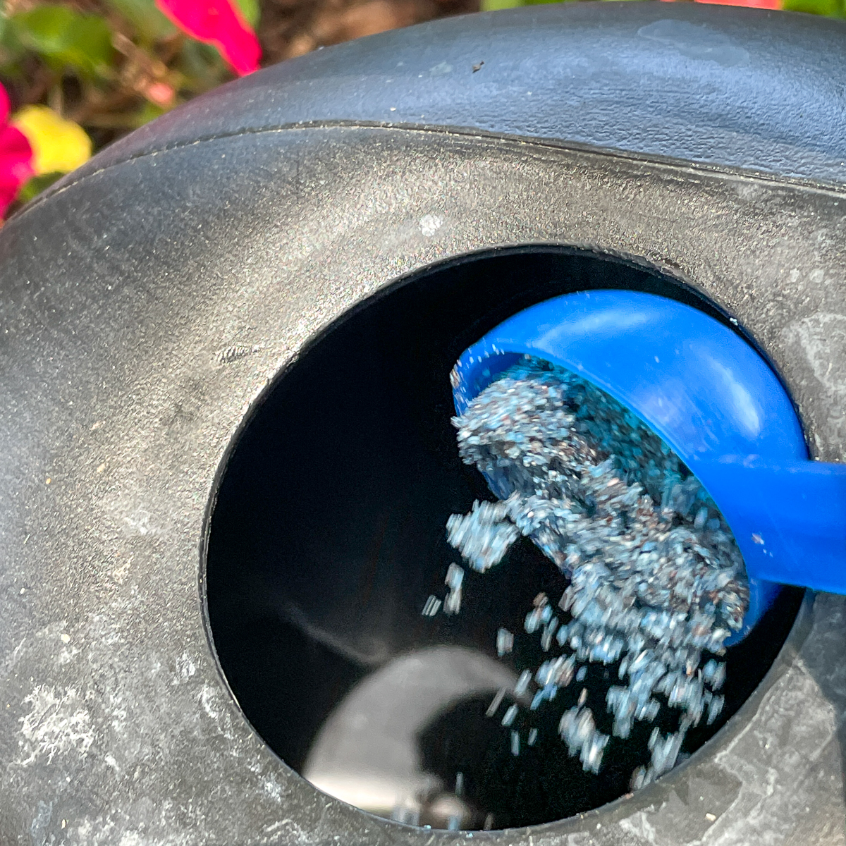 pouring a scoop of water soluble fertilizer into a watering can