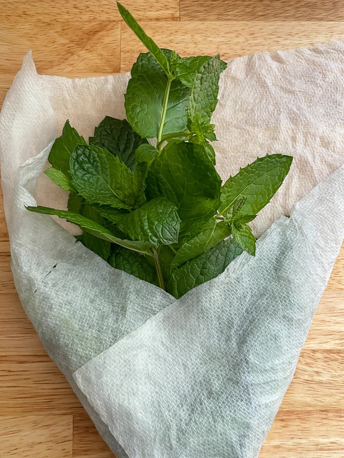 mojito mint leaves wrapped in damp paper towel for storage