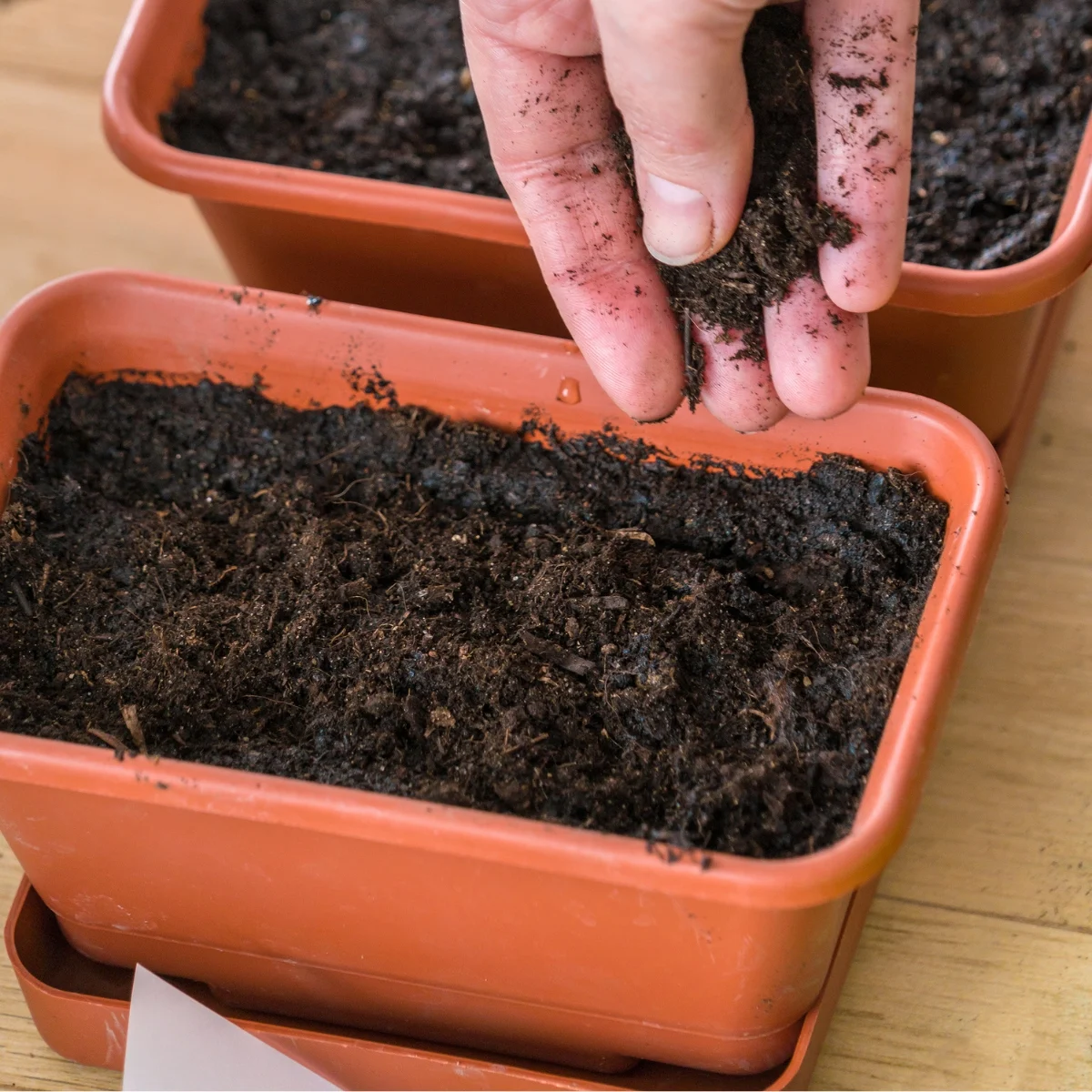 covering seeds with soil