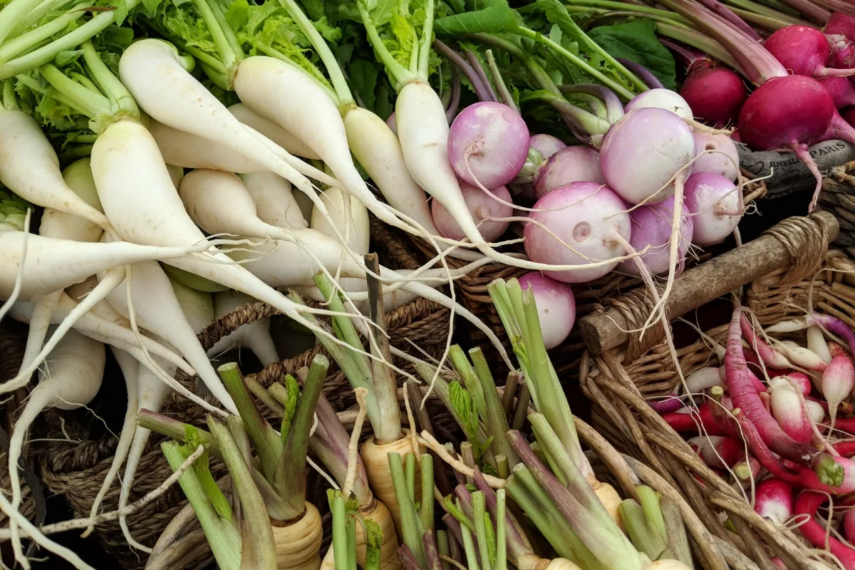 different varieties of radishes in wicker baskets