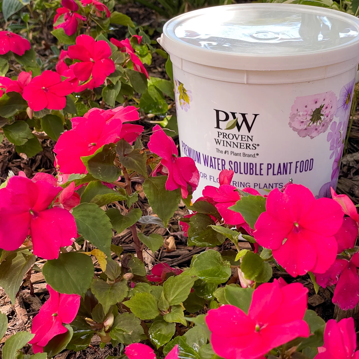 Proven Winners water soluble plant food container next to pink impatiens