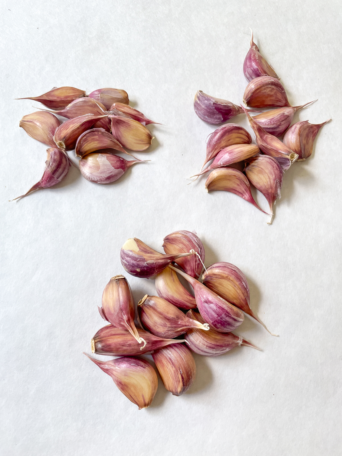 sorting garlic cloves by size before planting