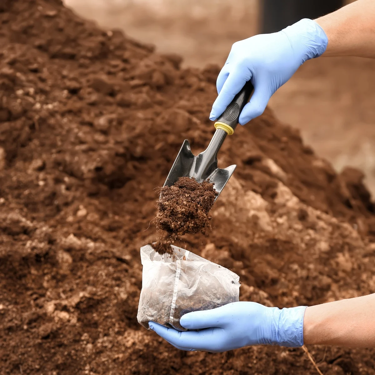 gathering soil for testing